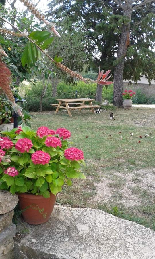 Agriturismo Le Stiacce Saturnia Exteriör bild